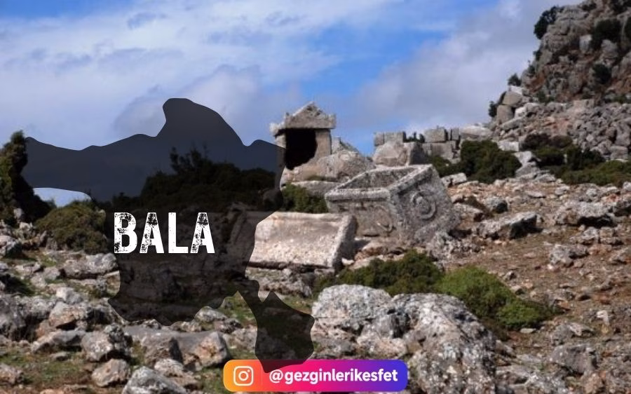 Bala
