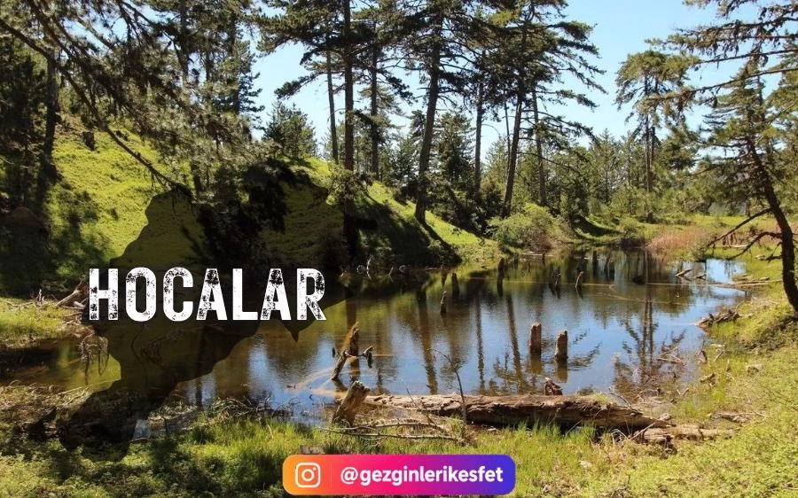 Hocalar