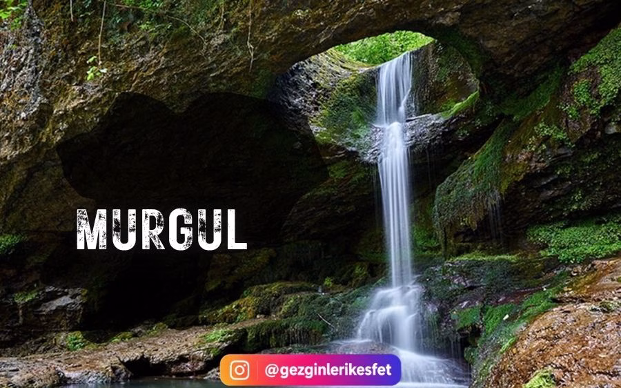 Murgul
