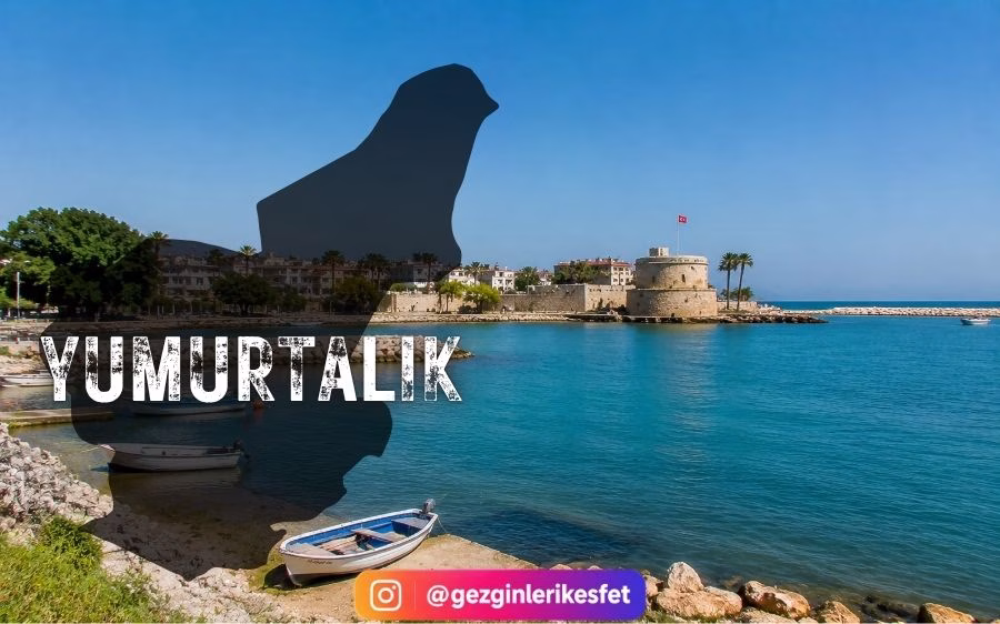 Yumurtalık